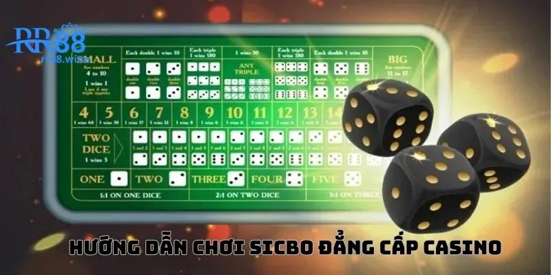 Hướng dẫn quy luật chơi sicbo đẳng cấp casino 