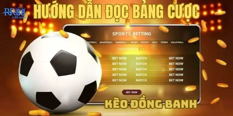 Hướng dẫn tân thủ đăng ký đọc kèo đồng banh 