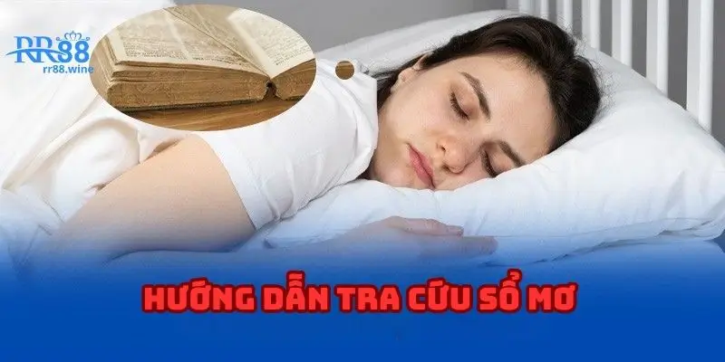 Hướng dẫn người mới cách tra cứu sổ mơ lô đề hiệu quả