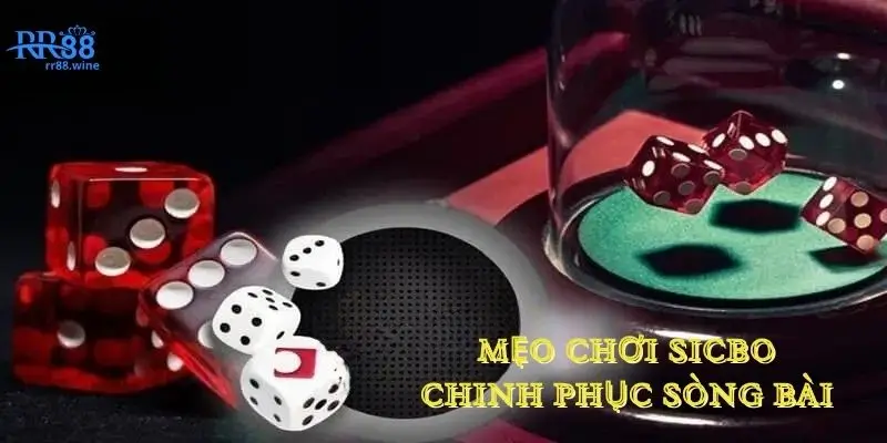 Mẹo chơi sicbo chinh phục sòng bài không phải ai cũng biết 